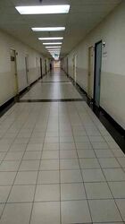 Imm Building (D22), Factory #472689561